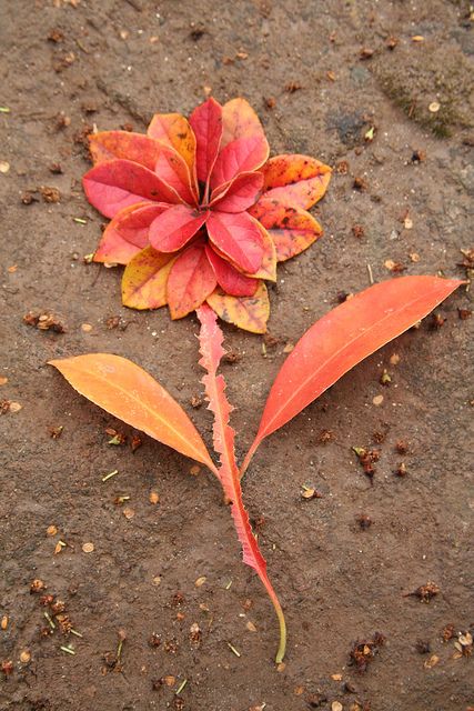 Leaves As Flower "Land Art" by SarabellaE / Sara / Love in the Suburbs, via Flickr Land Art Ideas, Backyard Decorating Ideas, Backyard Decorating, Nature Mandala, Ephemeral Art, Andy Goldsworthy, Nature Craft, Magic Land, Theme Nature