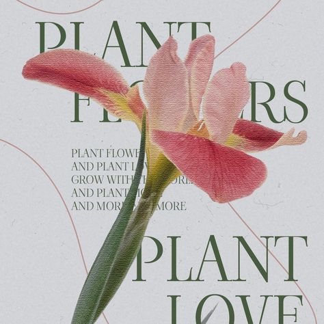 Graphic design poster Plant flowers,plant lov Spring Magazine Design, Botanical Poster Graphic Design, Gardening Poster Design, Flower Typography Design, Floral Typography Design, Garden Party Graphic Design, Flower Poster Design Graphics, Graphic Design Plants, Poster Flowers Design