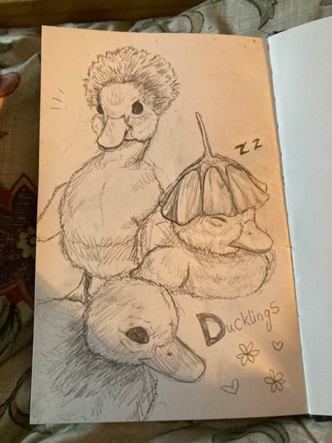 Scary Duck Drawing, Cool Drawing Projects, Drawing Ideas Shading Sketch, Pencil Sketch Inspiration, Cute Aesthetic Animal Drawings, A Duck Drawing, Things To Sketch Animals, Pop Up Drawings, Coloring Drawing Ideas