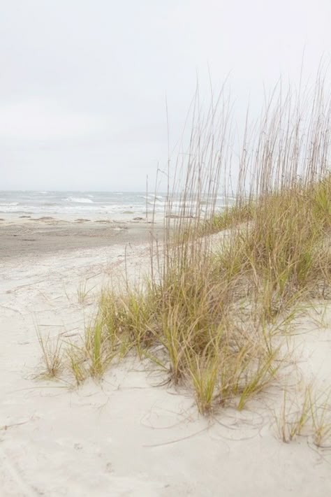 The Lettered Cottage, Lettered Cottage, St Simons Island Georgia, Tybee Island Georgia, Cottages By The Sea, Sea Oats, Beach Grass, Jekyll Island, St Simons Island