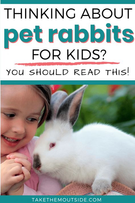 Tips for getting a pet rabbit for your kids. Read these bunny care tips, considerations, and reasons why bunnies make good starter pets for a family wanting to care for animals. #petrabbit #petsforkids #petbunny Good Pets For Kids, Homestead Rabbits, American Fuzzy Lop, Best Pets For Kids, Bunny Care Tips, Indoor Nature, Pets For Kids, Outdoor Rabbit Hutch, Outdoor Rabbit