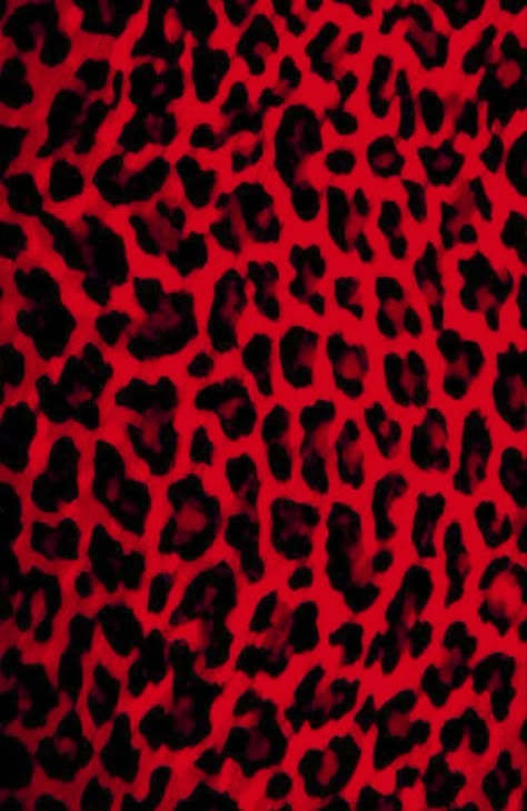 Trashy Y2k Wallpaper, Mall Goth Wallpaper, Y2k Wallpaper Aesthetic, Pink Black Wallpaper, Decorate Front Porch, Emo Backgrounds, Black Wallpaper Aesthetic, 2000s Wallpaper, Leopard Print Background