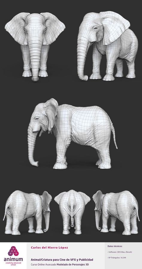 Clay Animals Sculpture, Elephant Anatomy, Africa Art Design, Animal Caricature, Elephant Carving, Elephant Illustration, Boho Art Drawings, Elephant Drawing, Elephant Sculpture