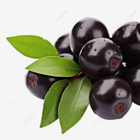 sweet acai berry isolated on transparent background Background Food, Food Png, Background Transparent, Ad Background, Transparent Image, Acai Berry, Png Transparent, Png Image, Design Resources