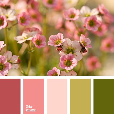 color of olives, dark marsh colour, khaki color, light olive color, light pink shades, maroon color, marshy green shades, pale pink color, pastel colors matching, vintage colors. In Color Balance, Flat Bedroom, Color Palette Ideas, Color Schemes Colour Palettes, Palette Ideas, Color Palate, Design Seeds, Color Palette Design, Color Balance