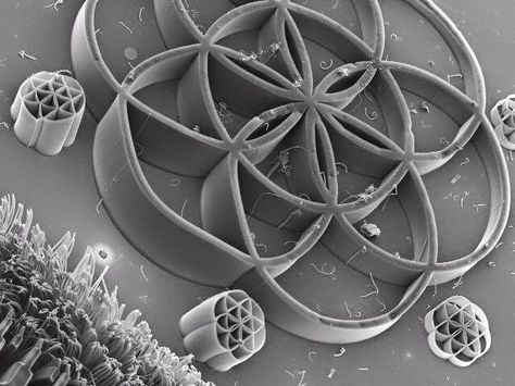 ... the exact pattern of the flower of life can be seen in the way a 13  strand DNA is formed by looking at the cross section magnified / Sacred  Geometry Quantum Physics Spirituality, John Hart, The Flower Of Life, Sacred Geometry Symbols, Cool Science Facts, The Golden Ratio, Spirit Science, Geometry Art, Ancient Knowledge