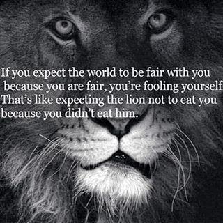 "If You Expect The World To Be Fair With You Because You Are Fair, You're Fooling Yourself. That's Like Expecting The Lion Not To Eat You Because You Didn't Eat Him." One Sentence Quotes, Deep Quotes That Make You Think, Life Isnt Fair, Lion Quotes, Short Inspirational Quotes, A Lion, Deep Quotes, Amazing Quotes, Inspirational Quotes Motivation