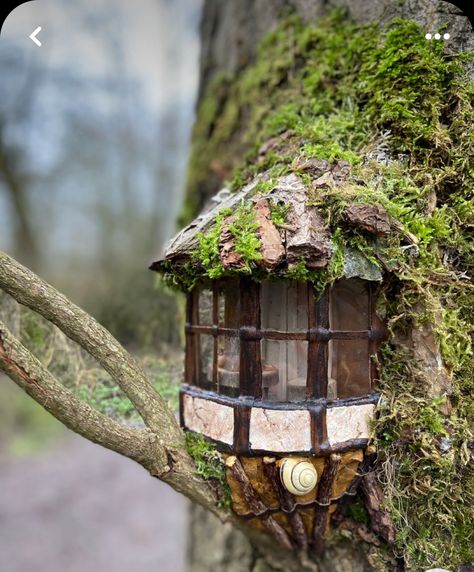 Fairy Garden Windows Diy, Fairy Garden Scene, Diy Fairy Window, Small Fairy Garden Ideas, Fairy Nook, Fairy Tree Houses, Fairy House Crafts, Garden Houses, Fairy House Diy