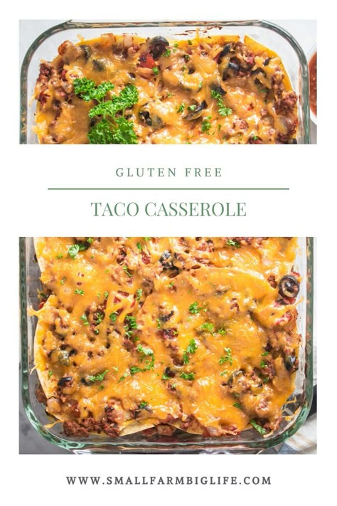 Gluten Free Taco Casserole, Gluten Free Taco, Cheesy Dinner, Gluten Free Casserole, Gluten Free Tacos, Healthy Casserole, Gluten Free Dinners, Glutenfree Recipe, Taco Dinner