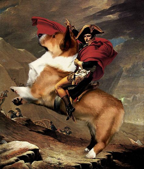 Napoleon riding a corgi Corgi Drawing, Swedish Vallhund, Corgi Art, Dog Jokes, Corgi Pembroke, Corgi Butts, Cardigan Welsh Corgi, Lots Of Cats, Puppies And Kitties