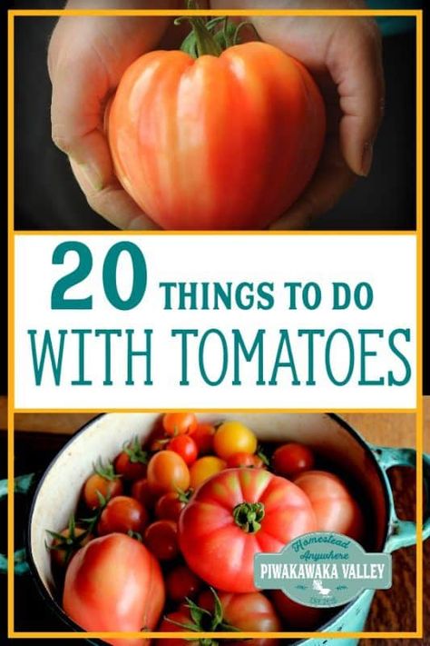 Too Many Tomatoes, Canning For Beginners, Canning Meat, Growing Organic Tomatoes, Farm Hacks, How To Grow Tomatoes, Tomato Farming, Homesteading For Beginners, Tomato Growing