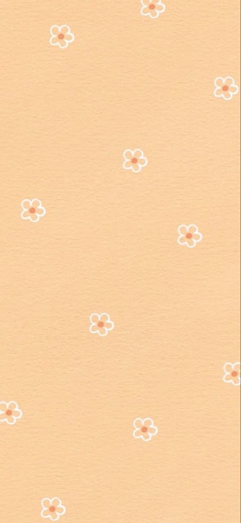 Cute Aesthetic Wallpaper Orange, Wallpaller Aesthetic, Aesthetic Wallpaper Orange Pastel, Cute Insta Story Background, Soft Orange Aesthetic Wallpaper, Cute Plain Backgrounds, Orange Pastel Aesthetic, Pastel Orange Wallpaper, Light Orange Wallpaper