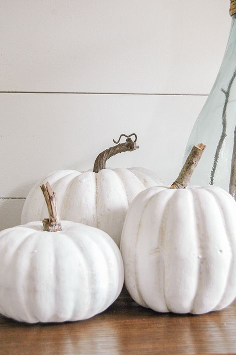 An easy tutorial to make inexpensive faux pumpkins look impressively real. www.littlehouseoffour.com Wedding Autumn Ideas, Wedding Fall Ideas, White Pumpkin Decor, Pallet Pumpkin, Wedding Autumn, Felt Pumpkins, Faux Pumpkins, Fall Deco, Autumn Ideas