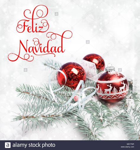 Download this stock image: Xmas tree, decorated branches on snow, text Feliz Navidad, or Merry Christmas in Spanish - M01TNR from Alamy's library of millions of high resolution stock photos, illustrations and vectors. Merry Christmas Images In Spanish, Decorated Branches, Feliz Navidad Christmas Tree, Christmas In Spanish, Merry Christmas In Spanish, Spanish Christmas, Happy December, Photo Images, Christmas Villages