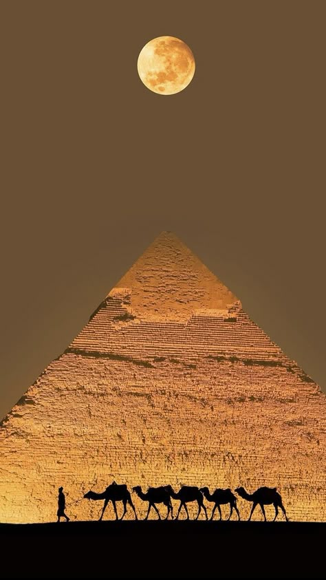 Pyramids Egypt Aesthetic, Desert Ruins, Egypt Hieroglyphics, Egyptian Goddess Art, Ancient Astronaut Theory, Egyptian Magic, Pyramid Of Giza, Pink Floyd Poster, Egypt Aesthetic