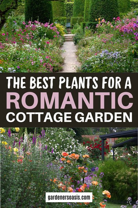 How To Create A Romantic Cottage Garden Romantic Cottage, Cool Plants, Cottage Garden, Cottage, Plants