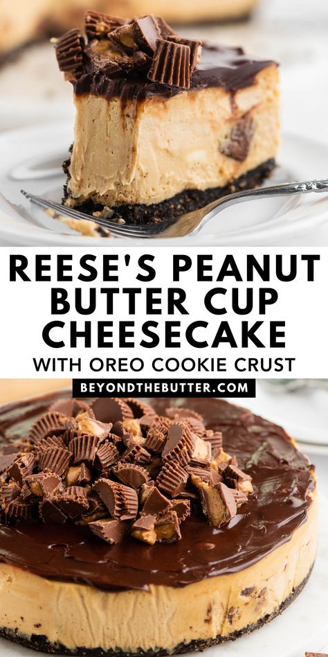 Reese Cup Cheesecake, Reese’s Cheesecake, Reese's Peanut Butter Cheesecake, Peanut Butter Cheesecake Recipes, Cup Cheesecake, Oreo Crust Cheesecake, Peanut Butter Cup Cheesecake, Peanut Butter Dessert Recipes, Reese's Peanut Butter Cup