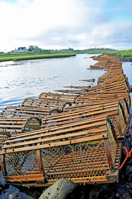 Crab Trap, Log Bench, Lobster Fishing, Lobster Shack, Fishing Town, Farming Ideas, Lobster Trap, Fresh Lobster, Seaside Theme