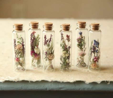 Gifts With Dried Flowers, Wildflower Wedding Party, Mini Glass Bottle Crafts, Herbarium Aesthetic, Flower In Jar, Specimen Jars, Dried Flowers Art, Dried Wildflowers, Tiny Glass Jars