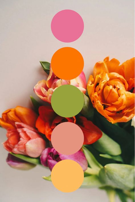 Spring Color Palette Ideas Color Palette Ideas, Spring Color Palette, Color Schemes Colour Palettes, Palette Ideas, Spring Wedding Colors, Summer Color Palette, Wedding Palette, Color Palate, Tropical Colors