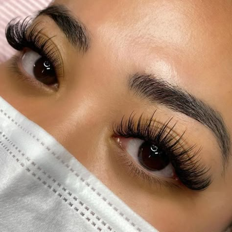 Classic Individual Lashes, Russian Eyelash Extensions, Best Eyelash Glue, Natural Fake Eyelashes, Best Lash Extensions, Lashes Fake Eyelashes, Professional Eyelash Extensions, Eyelash Extensions Styles, Perfect Eyelashes