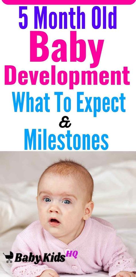 5 Month Old Baby Development :- By now, your baby’s physical developments are coming fast and furiously. When lying on his back, he’ll lift his head and shoulders. If you place him on his stomach, he’ll extend his arms and legs and arch his back. Your baby’s ability to interact with you, others, and his surroundings are growing daily. At this stage, he may start playing little games as he begins to understand that simple actions have results. Baby Developmental Milestones, Three Month Old Baby, Baby Development Milestones, 11 Month Old Baby, 7 Month Baby, 5 Month Baby, Baby Development Activities, 5 Month Old Baby, 7 Month Old Baby