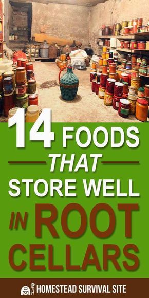 Root Cellar Temperature, Underground Food Storage, Homemade Root Cellar, Root Cellar In Basement, Cold Storage Room Ideas, Root Cellar Diy, Basement Root Cellar, Root Cellar Ideas, Root Seller