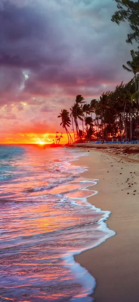 Porto Rico, Summer Bucket Lists, Sunset Views, Alam Yang Indah, Holiday Destinations, Beautiful Sunset, Nature Wallpaper, Tahiti, Beautiful Wallpapers