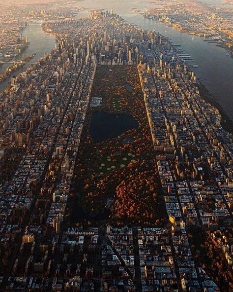 Central Park Autumn, New York From Above, City From Above, New York Central Park, New York Central, Nature Park, New York Photos, New York Life, Ny City