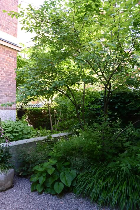 östermalm — rich landscapes Linear Garden, Rich Landscapes, Courtyard Plants, Landscape Design Drawings, Backyard Garden Landscape, Urban Forest, Courtyard Design, London Garden, Historic Mansion