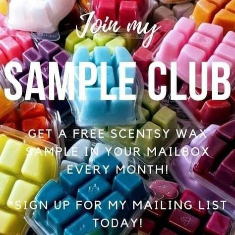 Scentsy Samples, Scentsy Sample Ideas, Scentsy Posts, Scentsy Pictures, Scentsy Consultant Business, Scentsy Recipes, Scentsy Marketing, Scentsy Ideas, Selling Scentsy