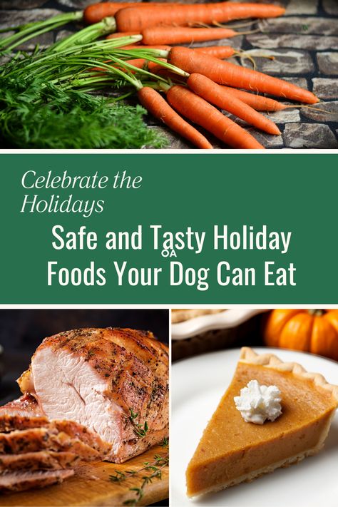 Food Dogs Can Eat, Holiday Dog Treats, Healthy Homemade Dog Food, Festive Meals, Pet Food Recipes, Human Food For Dogs, Foods Dogs Can Eat, Dog And Horse, Holiday Meal Planning