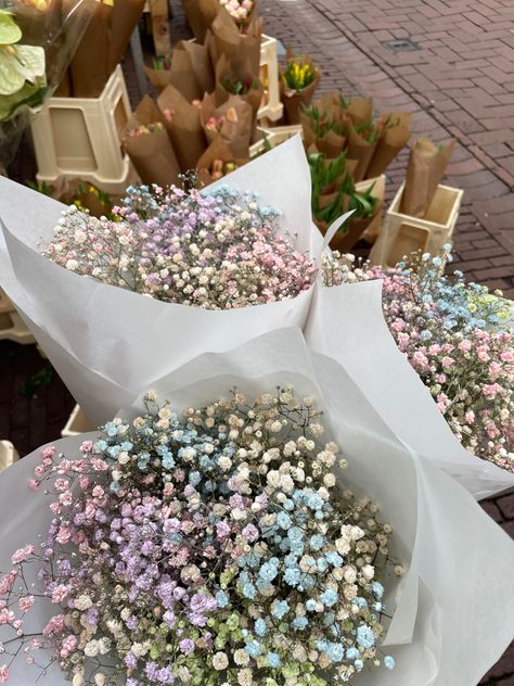 Pastel flowers Beautiful Things Aesthetic, Babys Breath Boquets, Baby’s Breath Flowers, Colored Babies Breath, Colored Baby Breath, Pastel Birthday Party Decorations, Amsterdam Flowers, Baby Breath Bouquet, Mixed Flower Bouquet