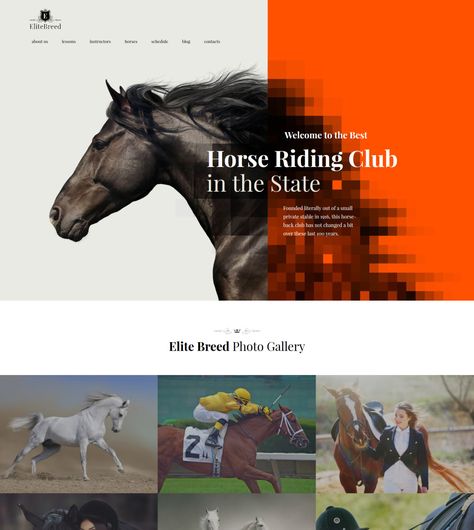 Club Branding, Best Landing Page Design, Horse Club, Horse Riding Equestrian, Digital Painting Techniques, Horse Posters, Beautiful Websites, Club Poster, Racing Art