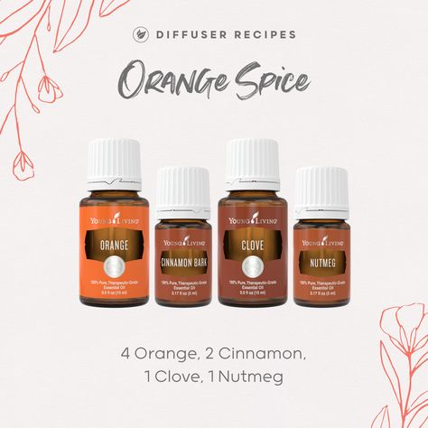 Orange Spice Diffuser Recipe Living Oils Recipes, Orange And Cinnamon, Fall Essential Oils, Fall Diffuser Blends, Young Living Recipes, Soya Mumu, Essential Oil Diffuser Blends Recipes, Young Living Essential Oils Recipes, Essential Oils Cleaning