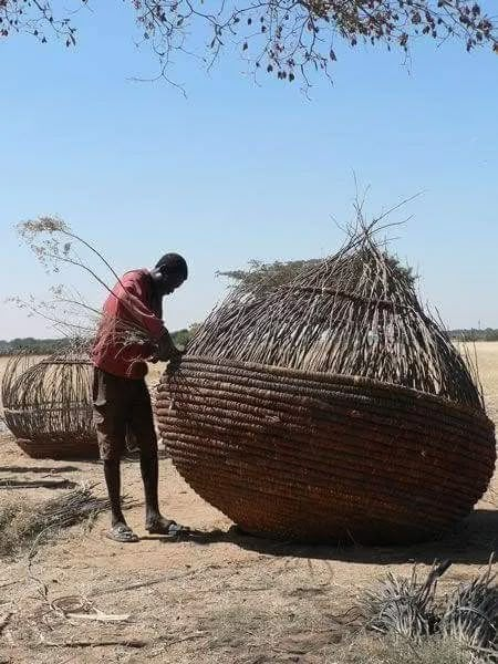 Treasures: Weaving the World Together – Wyld Basket Weaver, Willow Weaving, Afrique Art, Art Premier, Vernacular Architecture, Cultural Architecture, African Baskets, Weaving Art, Weaving Patterns