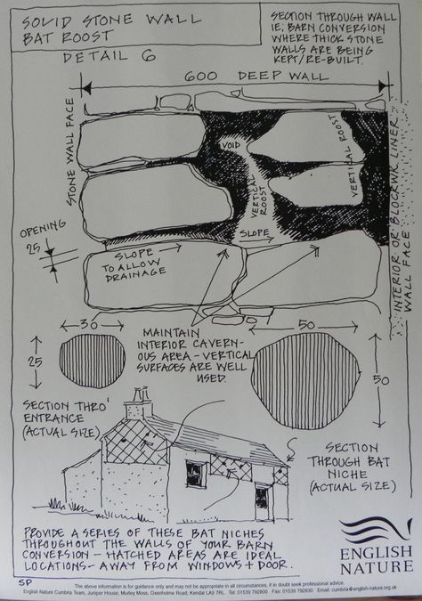 Solid stone wall bat roost information sheet Bat Architecture, Bat Boxes, Bat Box, Nice Designs, Architecture Drawing Sketchbooks, Baby Bats, Architectural Drawing, Architectural Details, Stone Wall