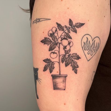 The cutest tomato plant love!!! thank you for the trust and the idea :-) * * * * #tattoo #tattooartist #tattooideas #blackworktattoo #blackworktattooartist #blackworktattoos #lineworktattoo #lineworktattoos #chicagotattooartist #chicagotattoo #flashtattoo Cute Plant Tattoos, Tiny Tomato Tattoo, Fine Line Tomato Tattoo, Tomato Vine Tattoo, Tomato Plant, Tomato Plant Tattoo, Black And White Raspberry Tattoo, Tomato Plant Tattoo Black And White, Raspberry Plant Tattoo