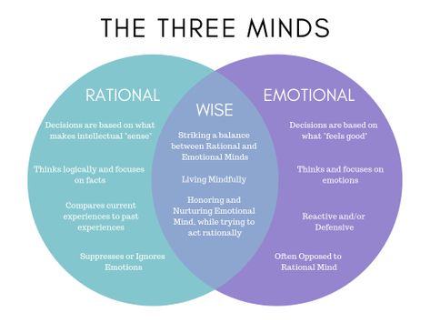 The 3 Minds: Emotional, Rational, and Wise Wise Mind, Peaceful Mind, Therapy Tools, Learn A New Language, Human Mind, Mental And Emotional Health, Coping Skills, Emotional Health, Self Development