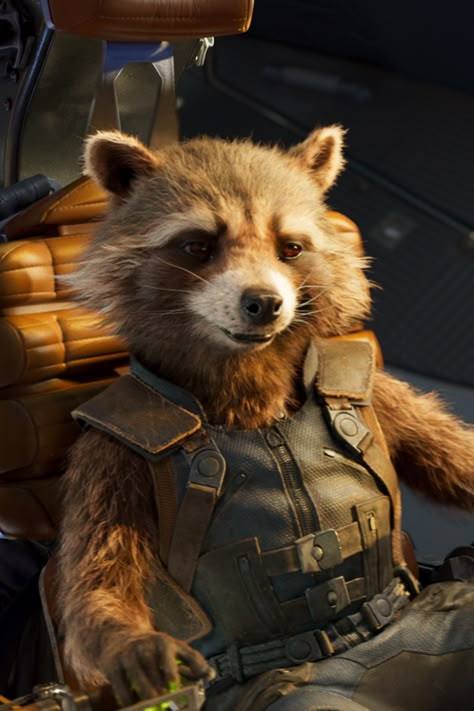 Rocket Raccoon Wallpapers, Rocket Raccoon Art, Gotg Rocket, Rocket The Raccoon, Marvel Rocket Raccoon, Rocket Marvel, Rocket Wallpaper, Marvel Rocket, Rocket Avengers