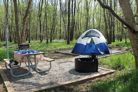 Camp in one our the new campsites at Powhatan State Park, at Powhatan State Park, Va Fun In Nature, Campsite Setup, Dispersed Camping, State Park Camping, Camping Cabins, Camping Must Haves, Backcountry Camping, Virginia Travel, Virginia State