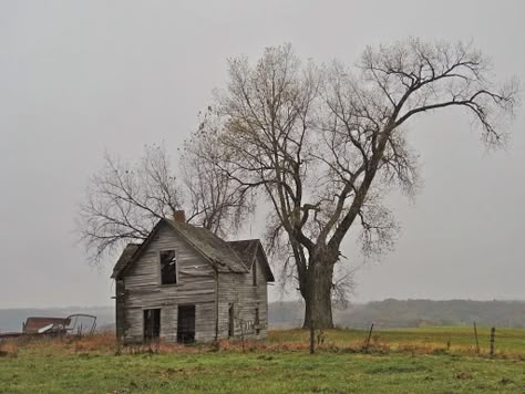 Midwest Gothic is a type of Regional Gothic aesthetic characterized by the portrayal of common facets of the Midwestern American lifestyle in a macabre light. Like many other Regional Gothic aesthetics, it originated and rose to popularity in the middle 2010s on Tumblr. Common themes found in Midwest Gothic works include the indifferent and mysterious qualities of nature, references to local folklore, exaggerations of Midwestern traditions, and a sense of isolation and disconnection, as well as Midwestern Gothic Aesthetic, Regional Gothic, Gothic Words, Midwestern Emo, Midwest Aesthetic, Gothic Americana, Ethel Cain Core, Midwestern Gothic, Southern Gothic Aesthetic