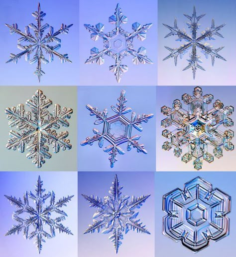 Fractal Snowflake, Cosmic Core, Unique Snowflakes, Snowflake Photography, Snowflake Pictures, Snowflake Art, Snow Flake Tattoo, Snowflakes Drawing, Snowflake Images