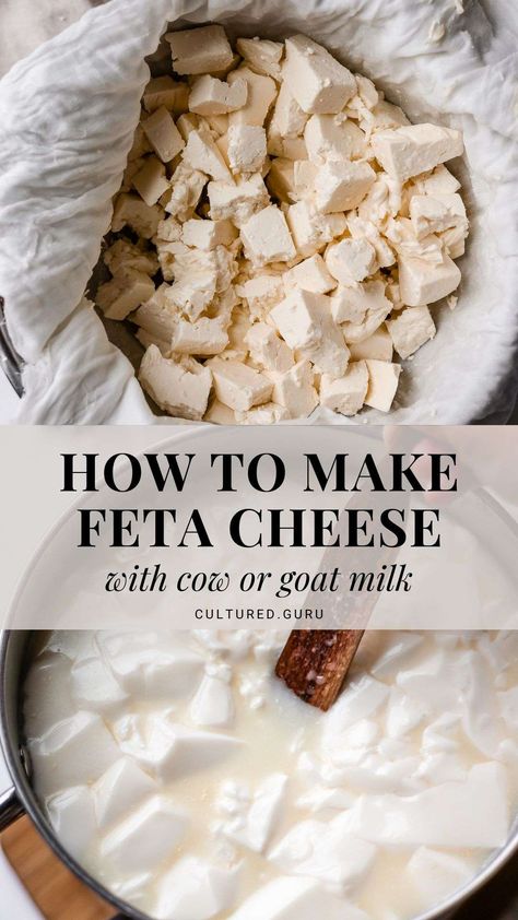 Savor the rich, creamy texture of homemade feta. Learn how to make feta cheese from scratch. Aged to tangy perfection, it's a delightful addition to salads, pastas, and your favorite dishes. #cheese #fermentation #feta