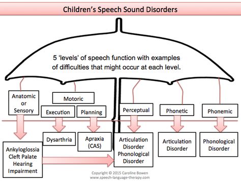 Classification of Children's Speech Sound Disorders Speech Language Pathology Grad School, Slp Grad School, Speech Disorders, Childhood Apraxia Of Speech, Speech Therapy Tools, Phonological Processes, Language Therapy Activities, Language Disorders, Slp Activities