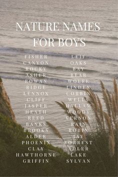 https://pin.it/10HdOzEWo Ocean Baby Names, Nature Names For Boys, Western Baby Names, Country Baby Names, Nature Names, Southern Baby Names, Sweet Baby Names, Names For Boys, Best Character Names