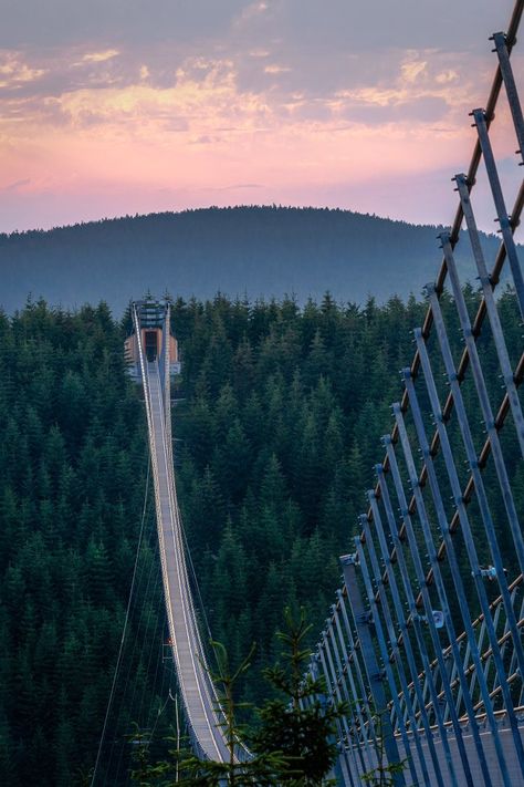 Travel South Africa, 5am Club, Sky Walk, Sky Bridge, South Africa Travel, Suspension Bridge, Above The Clouds, Adventure Activities, Travel South