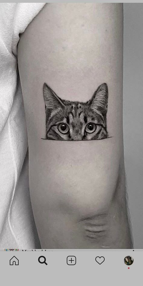 awesome cat tattoo ideas © tattoo artist ✿ Salmontattoo Austin ✧ @pettattoo.salmon ✿ ♡🧿♡🧿♡ #cattattoos #cooltattoos #inked #tattoolvoe #tattooinspiration #cats #besttattooideas Cat Eye Tattoos, Cat Lover Tattoo, Cat Face Tattoos, Tatuaje Studio Ghibli, Cat Portrait Tattoos, Tiger Tattoo Sleeve, Cute Animal Tattoos, See Tattoo, Cat Tattoo Designs