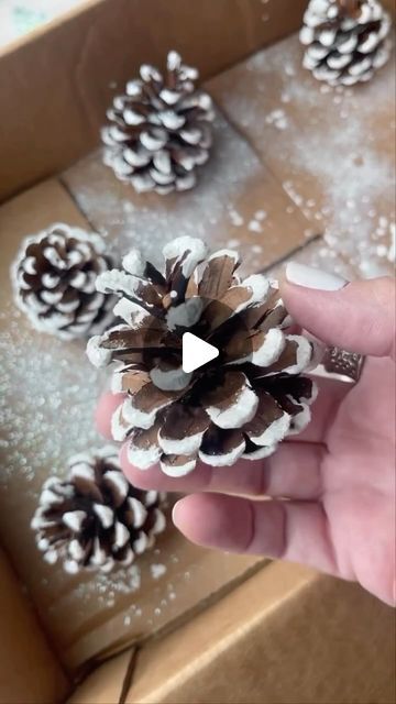 gina luker | arts + crafts on Instagram: "❄️ Easy faux snow pine cones for the holidays We don’t really get snow in the south… so faux snow for the win! This is a great craft gif kids because the bags keep it relatively neat 🙌🏼 DIY DETAILS ✨ use cheap acrylic paint - not the fancy stuff ✨ do small batches of pine cones (3-4 at a time for small - 1 or 2 for bigger) ✨ sprinkle glitter immediately… start with chunky stuff then the fine glitter for best results ✨ Let dry overnight or at least a few hours before dumping out excess glitter Do you get snow where you live?" Pine Cones Painting, Pine Cone Painting Ideas, How To Paint Pine Cones, Decorating Pine Cones, How To Paint Pinecones, Pine Cones Christmas Decorations, Christmas Pinecones Decorations, Pinecone Decorations Diy, Cheap Christmas Decorations Diy