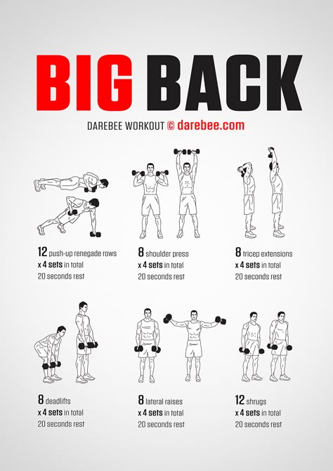 Big Back Workout, Back Workout Men, Gym Back Workout, Free Weight Workout, Fitness Studio Training, Latihan Dada, Workout Men, Gym Antrenmanları, Back Workouts